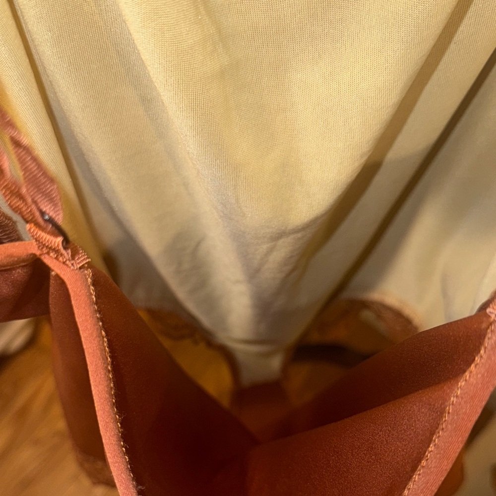 Lace Trim Satin Chemise Bodysuit in Rust - Picture 6 of 10
